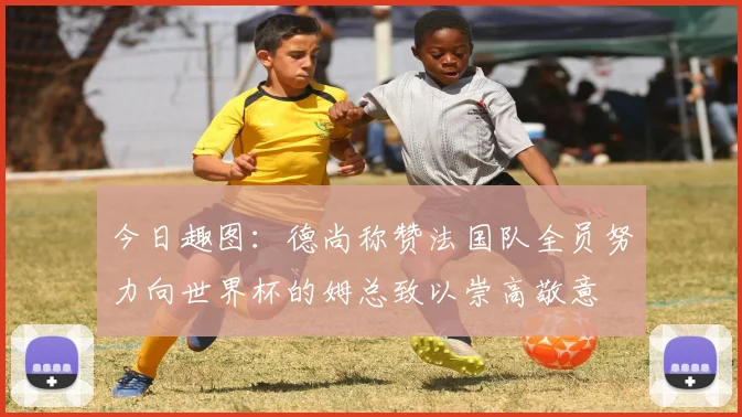 今日趣图：德尚称赞法国队全员努力向世界杯的姆总致以崇高敬意