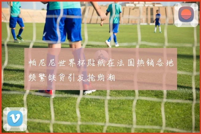 帕尼尼世界杯贴纸在法国热销各地频繁缺货引发抢购潮