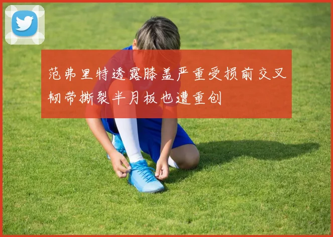 范弗里特透露膝盖严重受损前交叉韧带撕裂半月板也遭重创